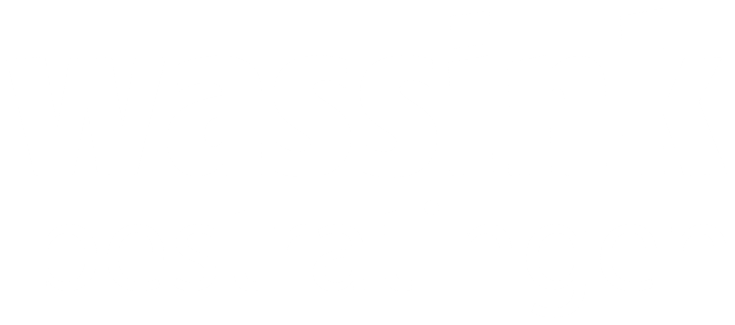 Logo wit wassink